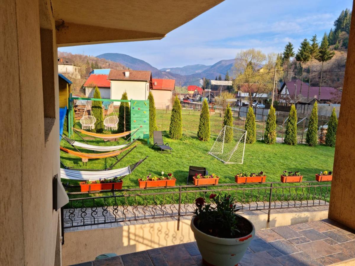Casa Teodor Rucar Casa De Oaspeti المظهر الخارجي الصورة